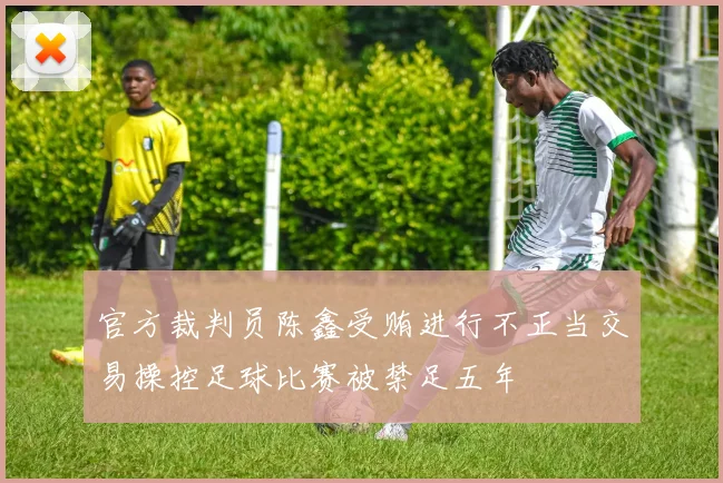 官方裁判员陈鑫受贿进行不正当交易操控足球比赛被禁足五年